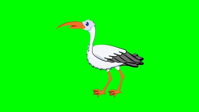 Stork Pretty Bird talking cartoon characters with green screen video animation with chroma key 