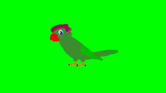 Parrot Bird talking cartoon characters with green screen video animation