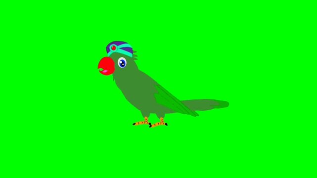 Parrot Bird talking cartoon characters with green screen video animation
