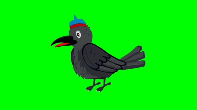 Crow Bird talking cartoon characters with green screen video animation with chroma key 