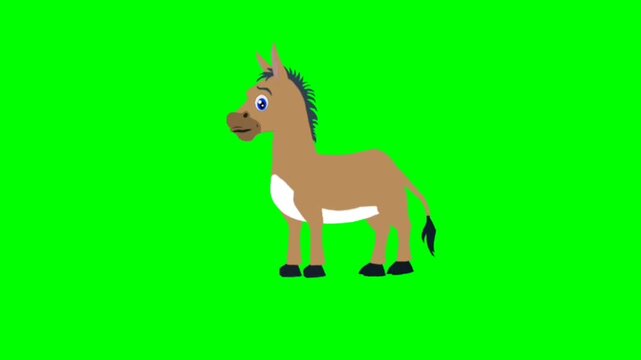 Donkey in the forest. Animal talking character. talking cartoon character with green screen video animation with chroma key.