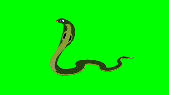 Snake talking character. Animal talking character. talking cartoon character with green screen video animation with chroma key.