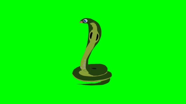 Snake talking character. Animal talking character. talking cartoon character with green screen video animation with chroma key.