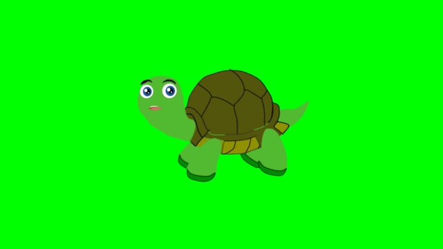 Tortoise talking character. Animal talking character. talking cartoon character with green screen video animation with chroma key.