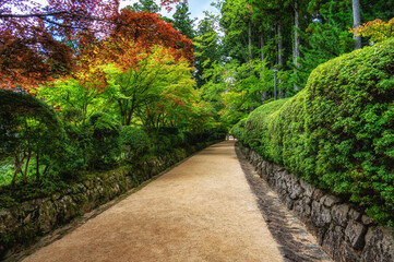 Obraz premium Danjo Garan Complex, Koyasan, Japan