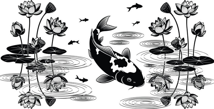 Title Koi fish swimming in pond with lotus flowers and water ripples, black and white vector illustration for zen garden, oriental nature art design
