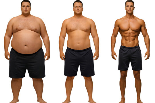Male Human body composition types educational illustration