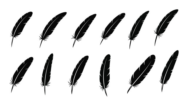A collection of twelve black feathers arranged in two parallel rows. Vector