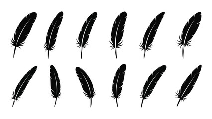 A collection of twelve distinct black feathers arranged in two neat rows. Vector