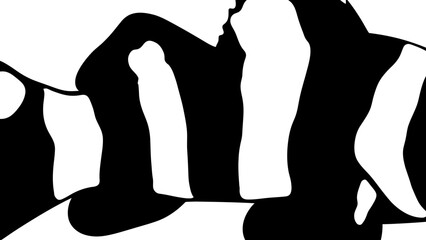 Abstract Black and White Clownfish Pattern