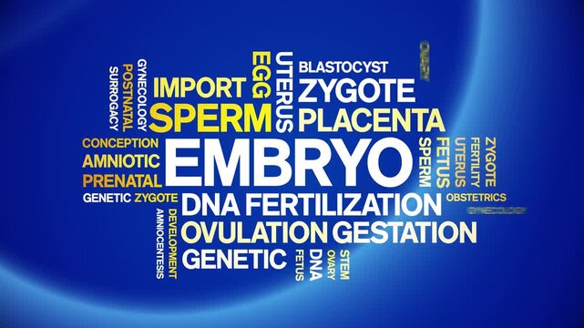 Embryo animated word cloud-text design animation tag kinetic typography seamless loop.
