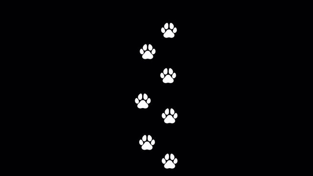 White Paw Prints Appearing and Walking Upwards Motion Graphic Animation on Black Background, Isolated Footsteps Trace, Minimalist Vet Clinic Symbol 4k video animation seamless loop