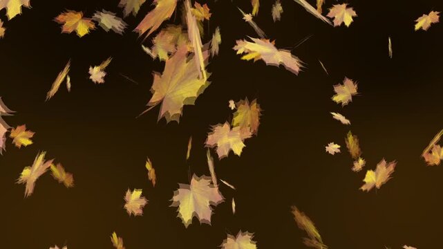 A cinematic view of  autumn leaf falling from above the sky. In a peaceful park, dry leaves fall from the trees. A picturesque view of leaves dropping from the canopy 