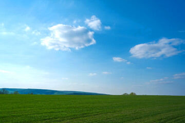 Obraz premium Serene landscape with expansive green fields under a partly cloudy sky