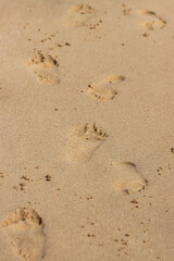A beach with footprints in the sand