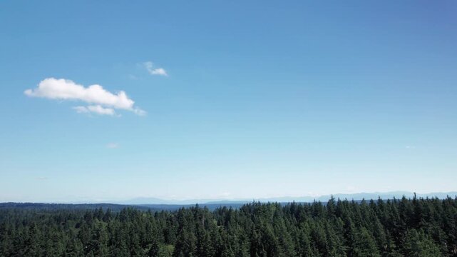 Blue Sky Over Forest Tree Tops Aerial Background