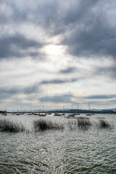 Murten, Morat, Murtensee, See, Seeufer, Mont Vully, Weinberge, Schifffahrt, Seerundfahrt, Weindorf, Weinregion, Weinbauer, Winzerd&ouml;rfer, Wanderweg, Sommer, Schweiz 