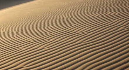 Fototapeta premium Desert Sand Dunes with Beautiful Wind-Sculpted Ripples and Golden Light