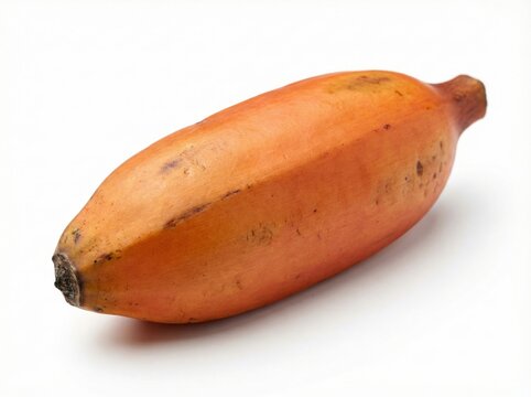 Exotic Copper Orange Fei Banana Fruit Isolated on White Background