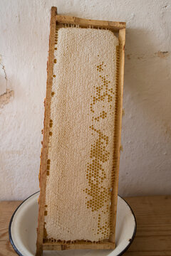 Full wooden frame of freshly harvested raw honeycomb