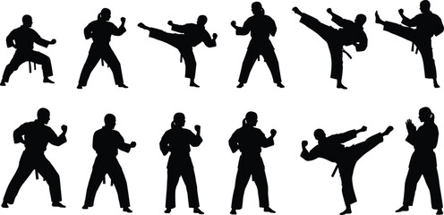 Collection of Martial Arts Fighter Silhouettes Performing Karate and Taekwondo Kicks and Combat Stances Isolated on White Background for Sports Training Design © Shammi's World