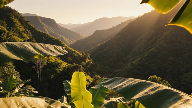 Banana plants in mountainous landscape