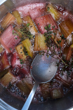 Homemade Rhubarb Compote with Thyme Simmering in a Pot