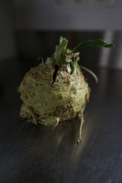 Earthy Celeriac Root Vegetable with Green Leaves on Metallic Surface