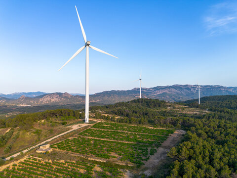 Hills landscape with wind turbine above forest and vineyard in the Terra Alta region of Catalonia Spain producing renewable energy