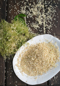 Fresh Elderflower Blossoms and Loose Petals for Cordial on a Dark Wood Table