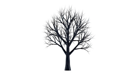 Obraz premium Bare Black Tree Silhouette on White Background