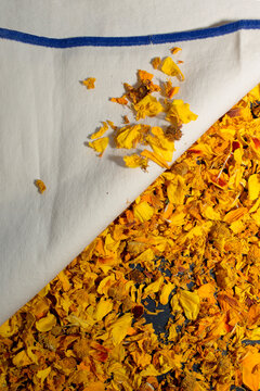 Dried Marigold Calendula Petals and White Fabric with Blue Stripe