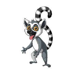 black and white lemur © Adobe