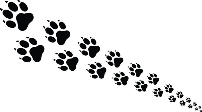 Black silhouette vector illustration of animal paw prints trail walking away, fading into distance on isolated white background for design.