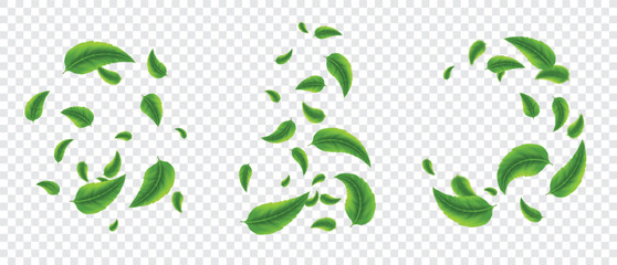 Fototapeta na wymiar Green leaves flying, realistic 3d tea leaf falling, dynamic blur motion. Foliage whirl in air for fresh herbal organic poster, banner. Tea leaves scattering, eco bio packaging. Vector isolated set