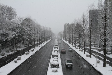 Symmetrical snow-covered straight avenue with cars in Tsukuba, Japan