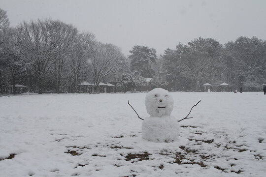 Handmade snowman with stick arms standing in a vast snowy field under snowfall