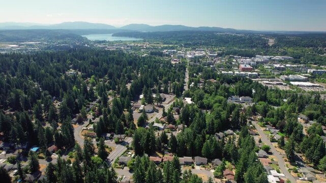 Drone Rising Over Suburban Neighborhoods with Forest Trees