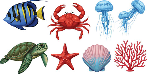 Colorful ocean creatures on white background fish crab jellyfish © Mokarrm Art