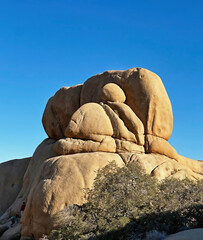 Joshua Tree National Park is home to two very different desert