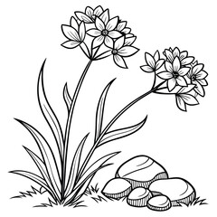 An elegant line drawing of two flowers growing seed.