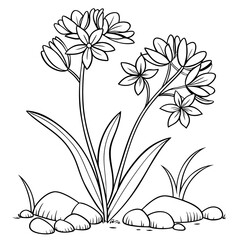 An elegant line drawing of two flowers growing seed.