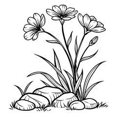 An elegant line drawing of two flowers growing seed.