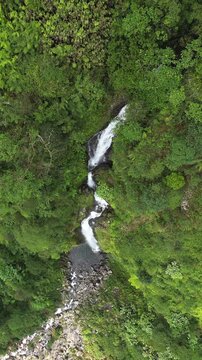 Vertical aerial footage showing Curug Cikawah waterfall flowing through a lush rainforest valley in Gunung Halimun Salak National Park, Indonesia. Perfect for travel and adventure visual content.