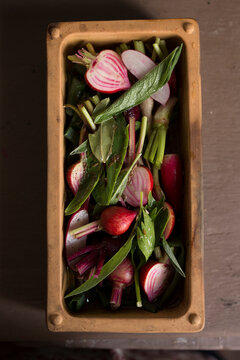 Sliced heirloom Chioggia beets and fresh radishes in a terracotta tray for organic harvest and culinary preparation