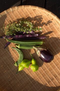 Fresh organic harvest of okra eggplant purple beans and peppers in a wicker basket symbolizing agricultural biodiversity and homegrown sustainability