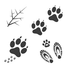 Fototapeta premium A variety of animal tracks and footprints in black and white Vector