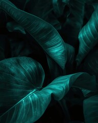 A close up of green leaves with a blue tint