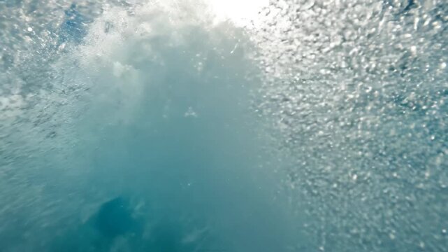 Large ocean wave in sunlight