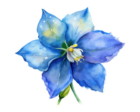 Watercolor Larkspur Flower Art, Delicate Blue Botanical, isolated on white background